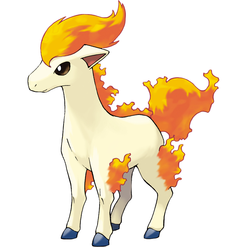 Ponyta